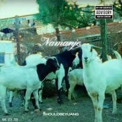 Shouldbeyuang - Namanje