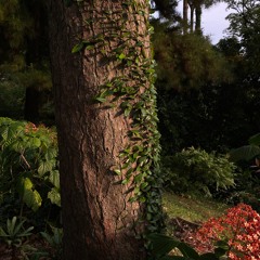 Outsiders: Darker Than Wax w/ Dean Chew & Tape Hiss @ Kiosk Radio 08.03.2022