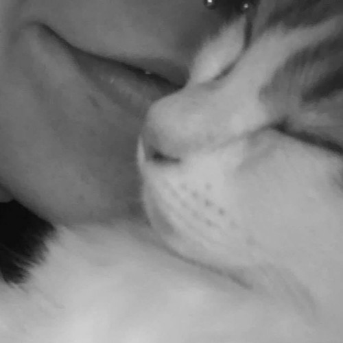 JIMEH @ 1341 TECHNO SET 2023