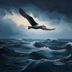 Lonely Albatross