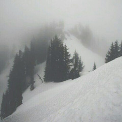 snow prod twohvns
