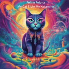My Cat Stole My Ketamine