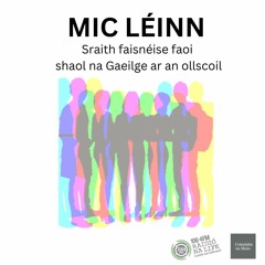 Mic Léinn: An Coláiste Ollscoile, Baile Átha Cliath