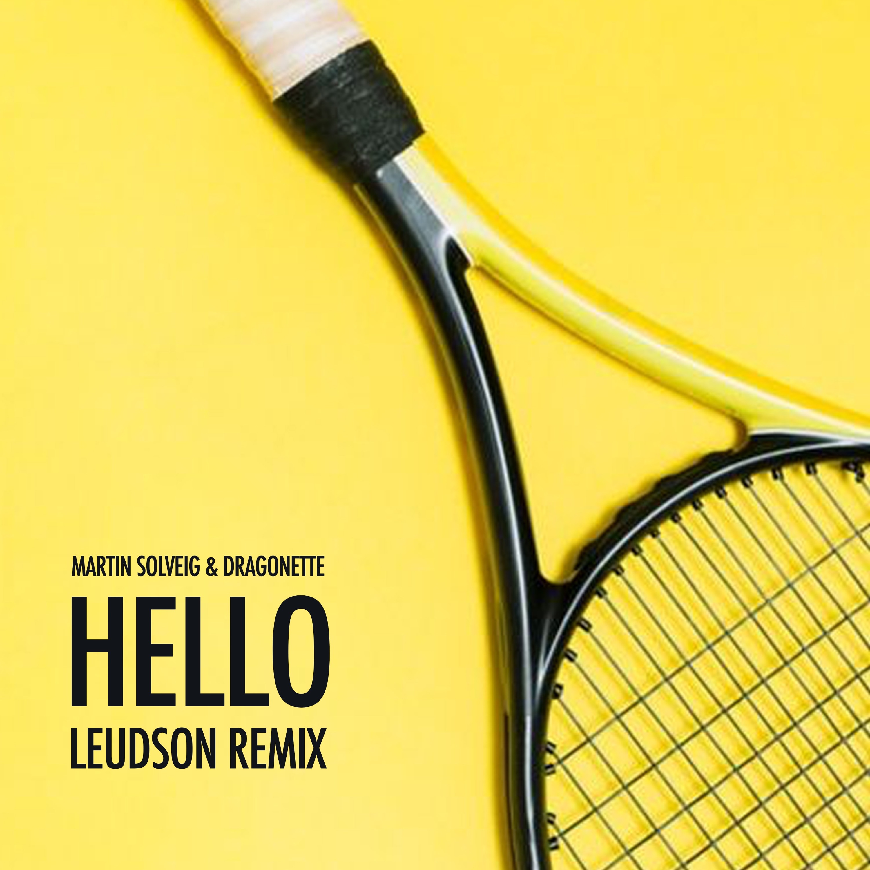 Martin Solveig & Dragonette - Hello (Leudson Bootleg)