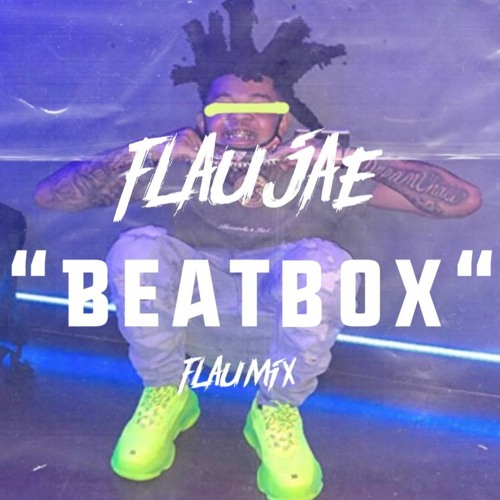 Beatbox (Flaumix)