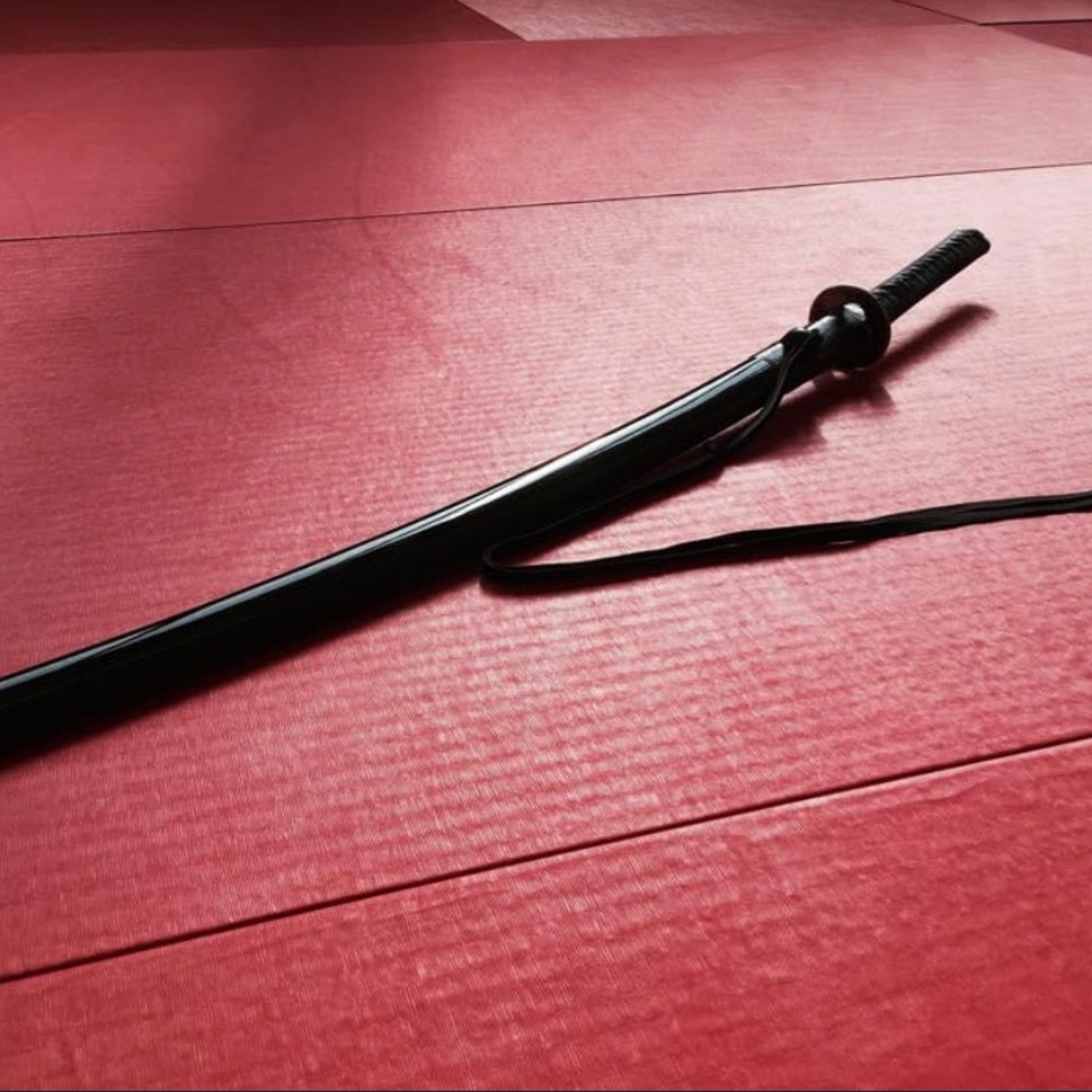 MEDITATION__Medical Doctor's & Aikido Birankai Nidan facts-based insight.