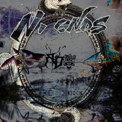 N. ends