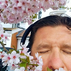Don Padre - Primavera