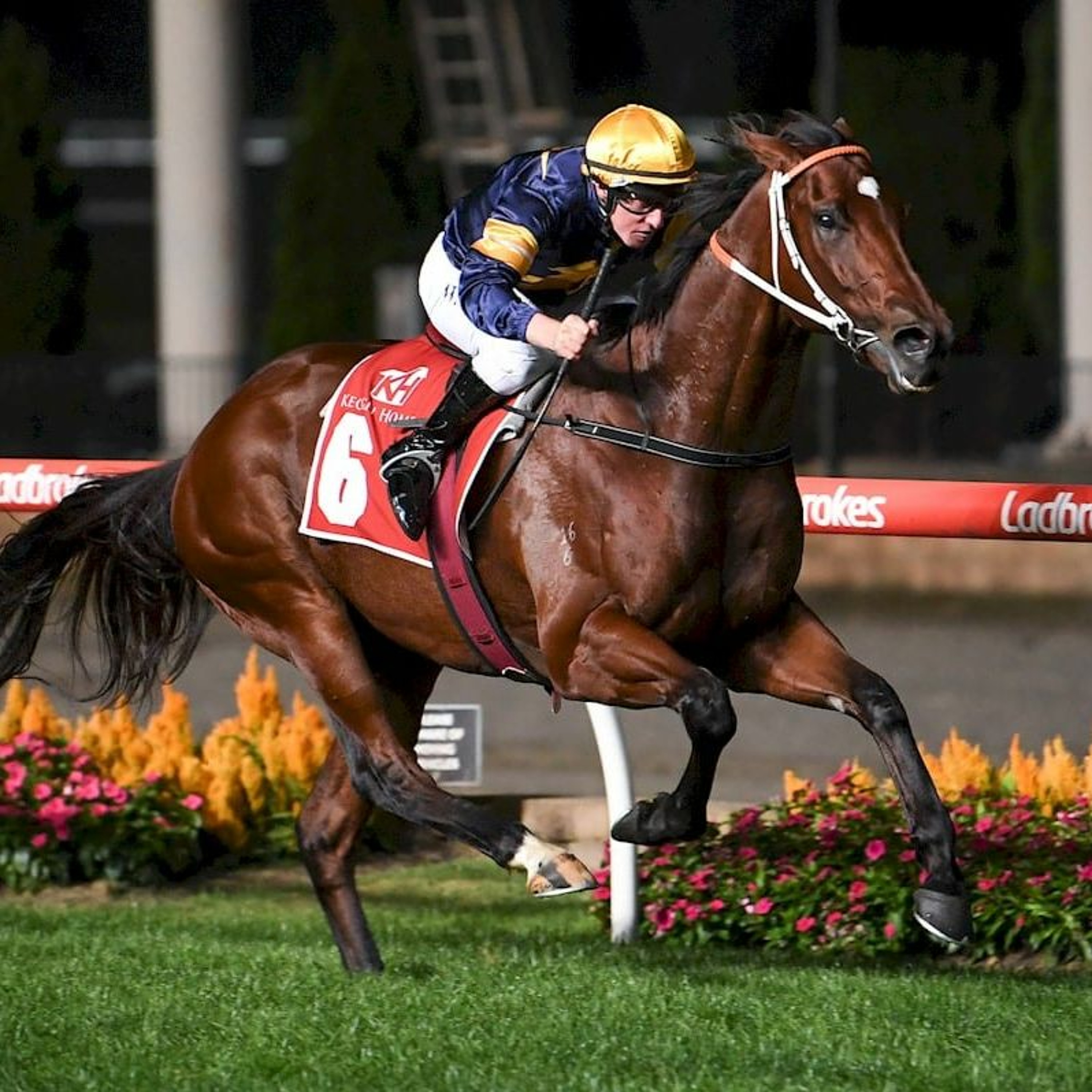 William Reid Stakes Night Review