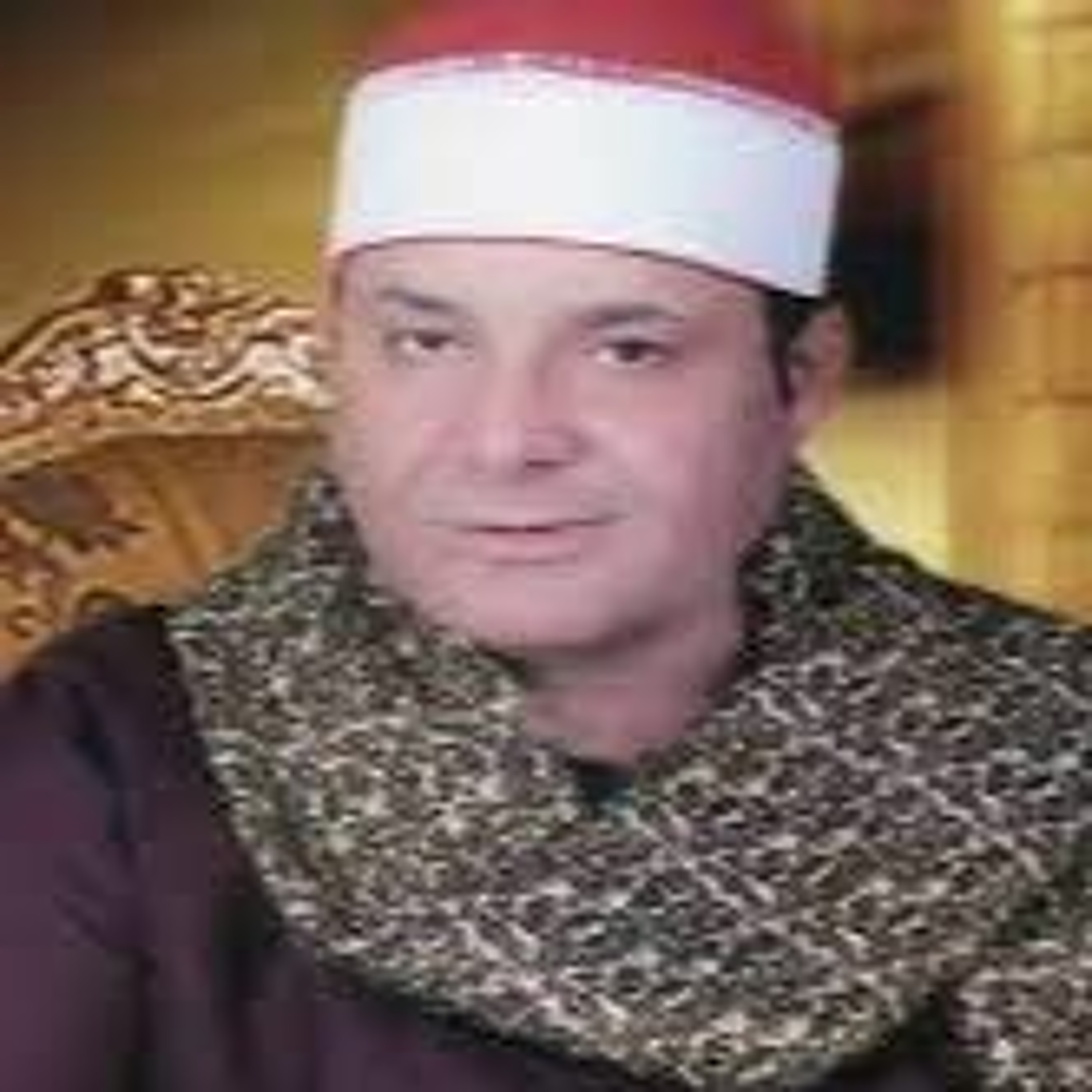 الآيات 25_31 من سورة الإنسان والآيات 01_34 من سورة المرسلات الشيخ حلمي الجمل episode artwork