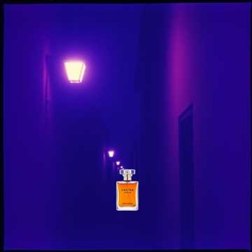 Love Trap After Midnight