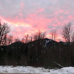 Arms-Paper Kites (Cover)