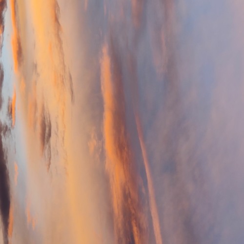 Skrillex X Fred Again X Mikza - Trust Me? (Trippie ID)