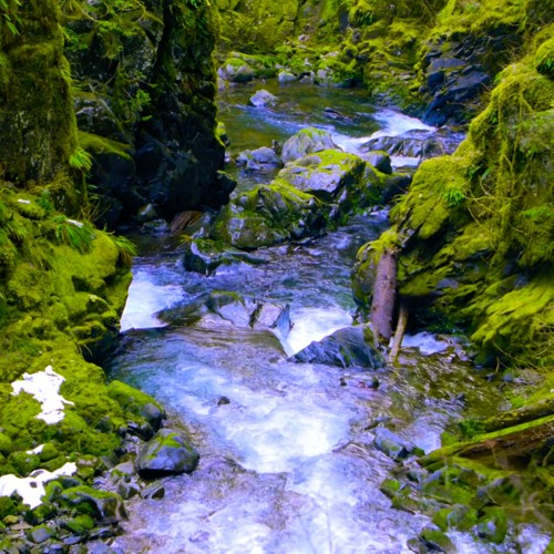 Relaxing Water Sounds For Sleeping, Studying Or Stress Relief | River White Noise (75 Minutes)