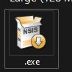 .exe