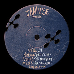 Numero 6 - Thesis & Hap