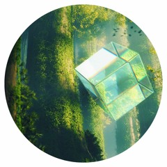 Premiere: Szs & Felix - Seeds