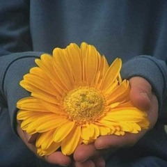 جرح_بجرح_-_يارا_محمد_2020_-_شعبي_كل_يوم(256k).mp3