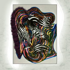 Zebra (Avcio Remix)