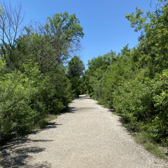 Ambient Stroll