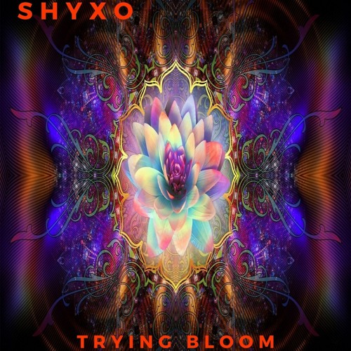 Trying Bloom