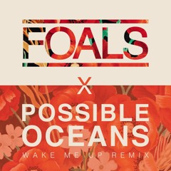 Foals - Wake Me Up (Possible Oceans Remix) #WakeMeUpRemix