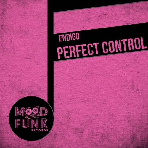 Endigo - PERFECT CONTROL // MFR261