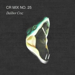 CR Mix No. 25 [Dalibor Cruz]