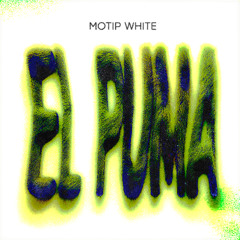 Motip White - El Puma
