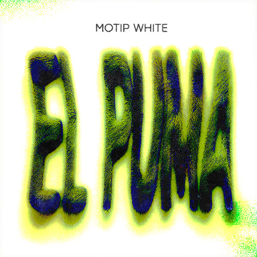 Motip White - El Puma