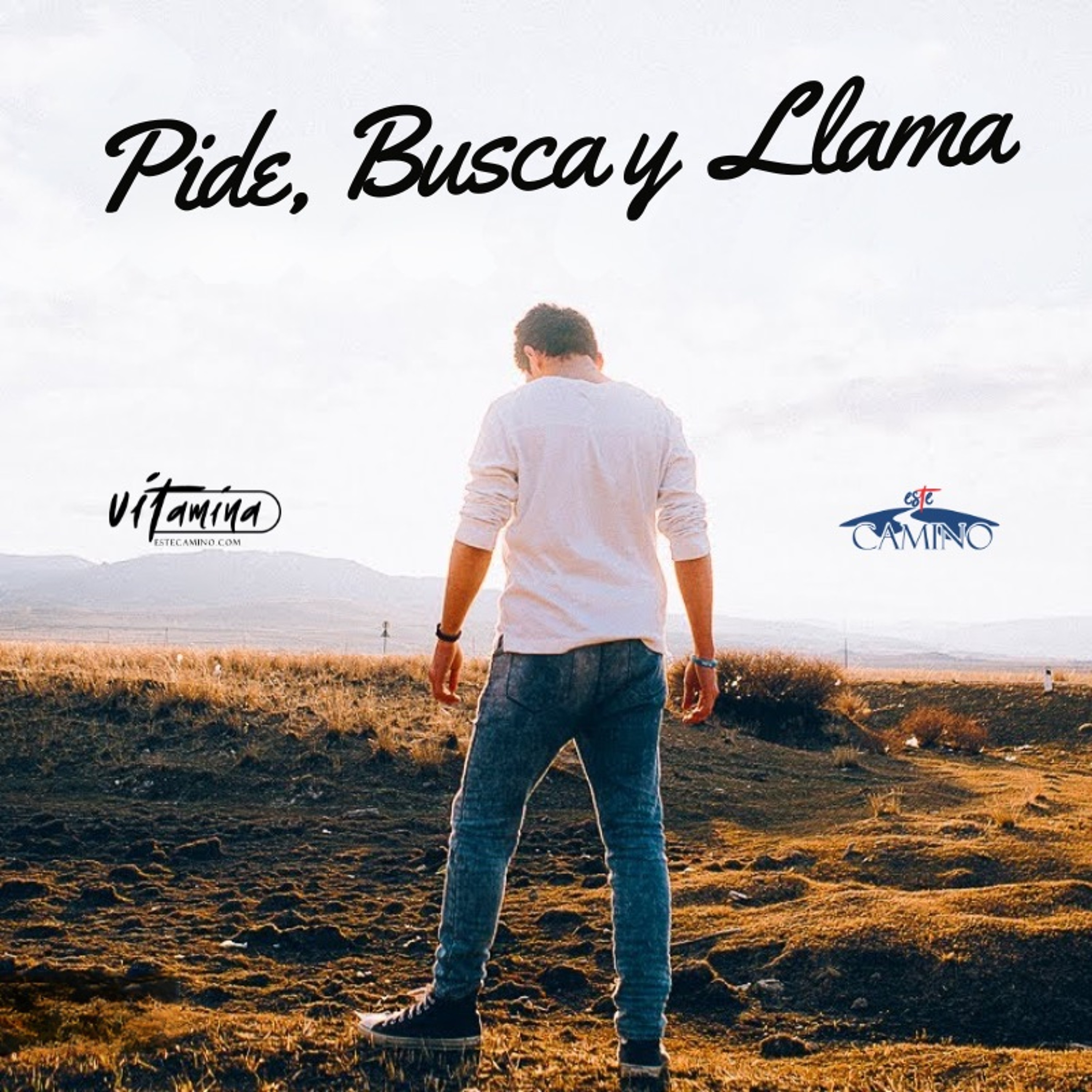 Pide, Busca y Llama, Tony episode artwork