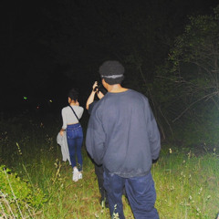 Hide Away