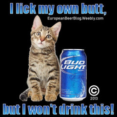 DEVILZ - BUD LIGHT SONG (ROBB Dubz REMIX) [FREE]