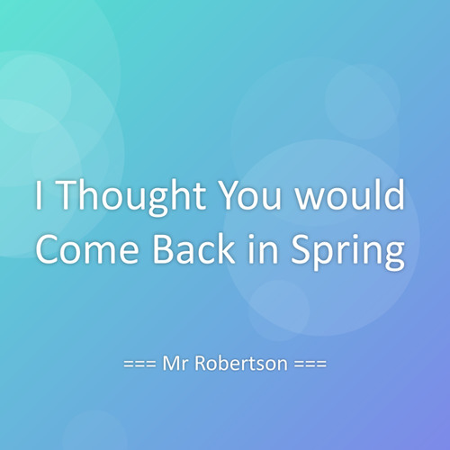 I Thought You would Come Back in Spring