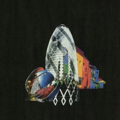 Steve Bicknell - Confusion Of Chase [Reclaim Your City]