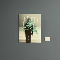 Katharina Schreiter, Membran - 4