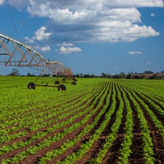 Retos y horizonte del sector agropecuario