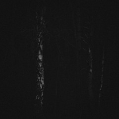 Tim Jong-il & marvmatic - Stille (Beat: RobDaFlava)