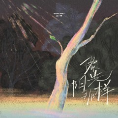 Like The Sunshine 像阳光那样 - Wang Yibo 王一博