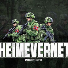 Heimevernet 2025