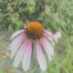 ATB - Moments In Peace (Yuxta remix)