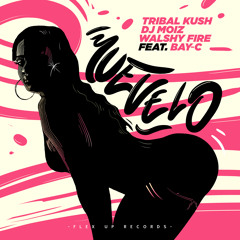 Tribal Kush, DJ Moiz, Walshy Fire Feat. Bay - C - Muevelo (Original Mix)