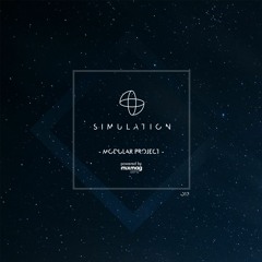Simulation 4th Dimension 013: Modular Project
