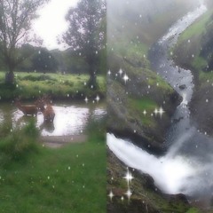 i don't know >.< (remix)