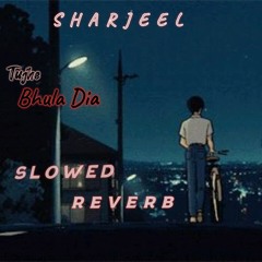 💔Tujhe Bhul Diya💔 Slowed And Reverb 🌚 New Edit Broken💔