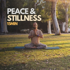 Peace & Stillness 15min - RISE Breathwork with Joep Mencke 007