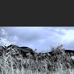 Catalysis (a),  for two guitars