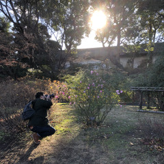Because Now I am the Sun