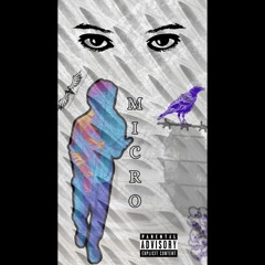 Micro