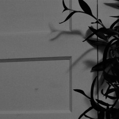 50/50 (JonTheDreamer Cookup Club #10)